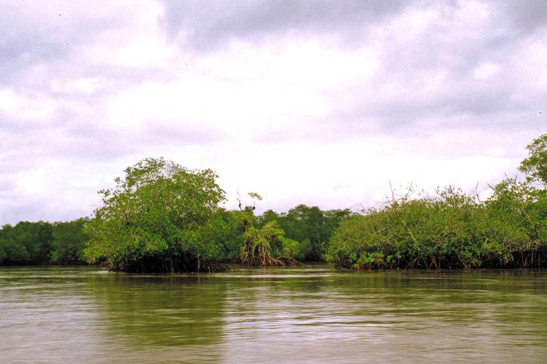 Foto de Golfito, Costa Rica