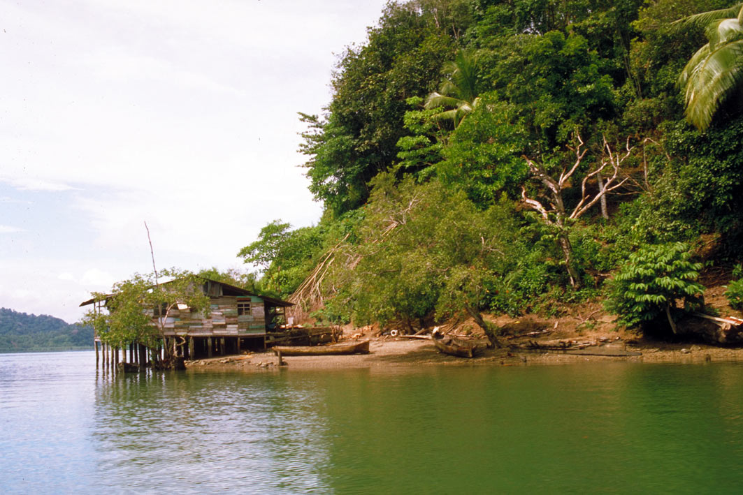 Foto de Golfito, Costa Rica