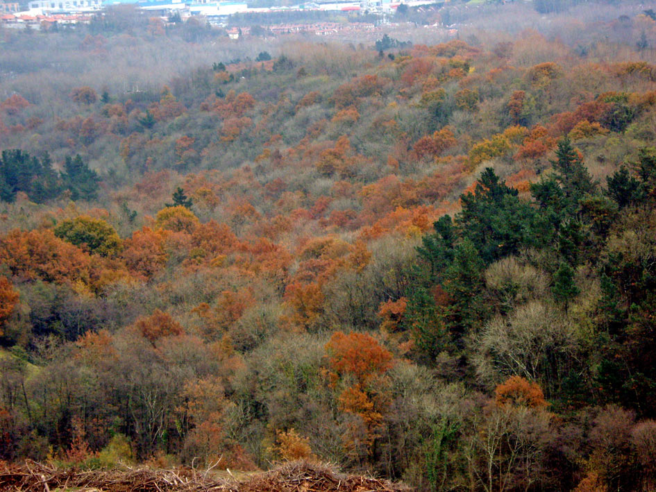 Foto de Hondarribia (Gipuzkoa), España