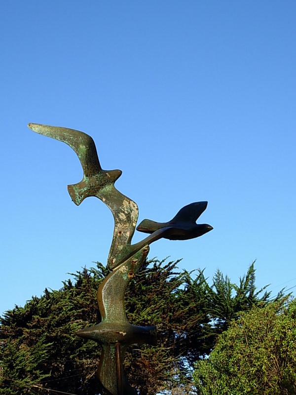 Foto de Isla Negra - El Quisco, Chile