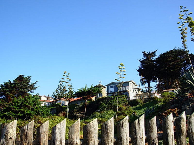 Foto de Isla Negra - El Quisco, Chile