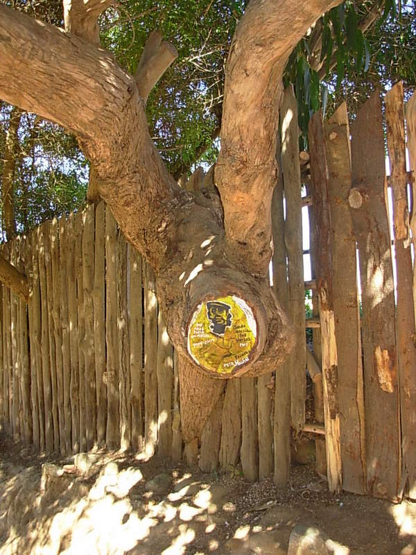 Foto de Isla Negra - El Quisco, Chile