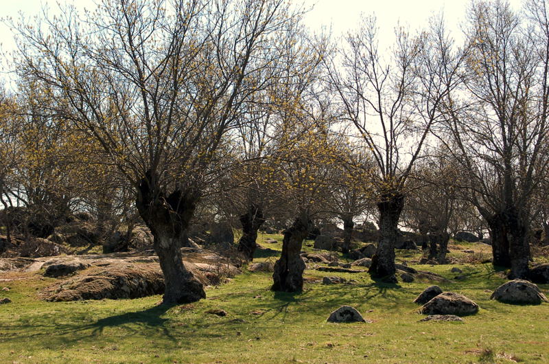 Foto de El Escorial (Madrid), España