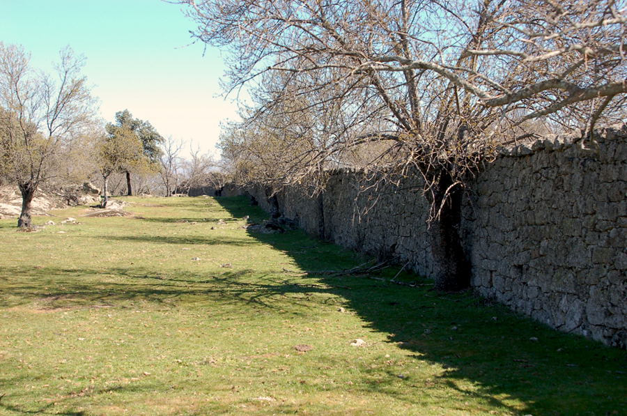 Foto de El Escorial (Madrid), España