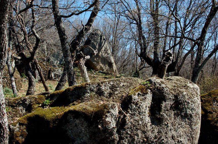 Foto de El Escorial (Madrid), España