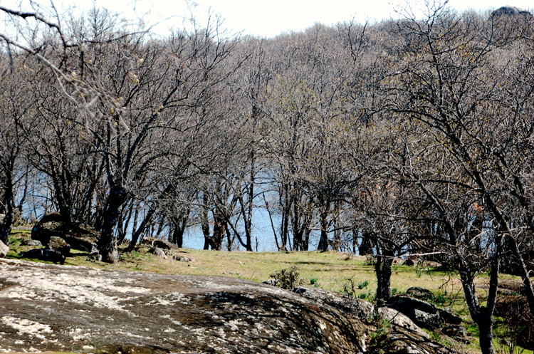 Foto de El Escorial (Madrid), España