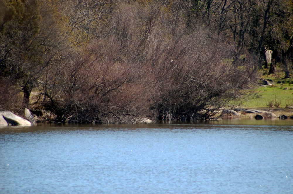 Foto de El Escorial (Madrid), España