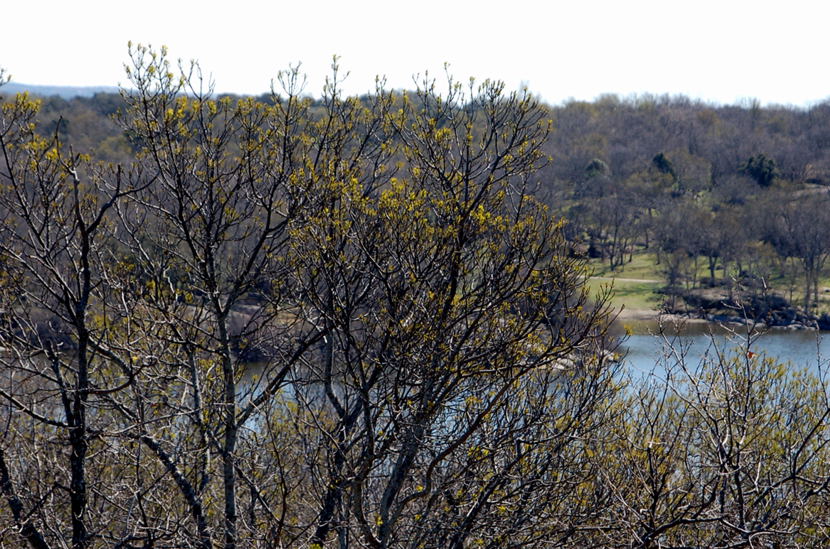 Foto de El Escorial (Madrid), España