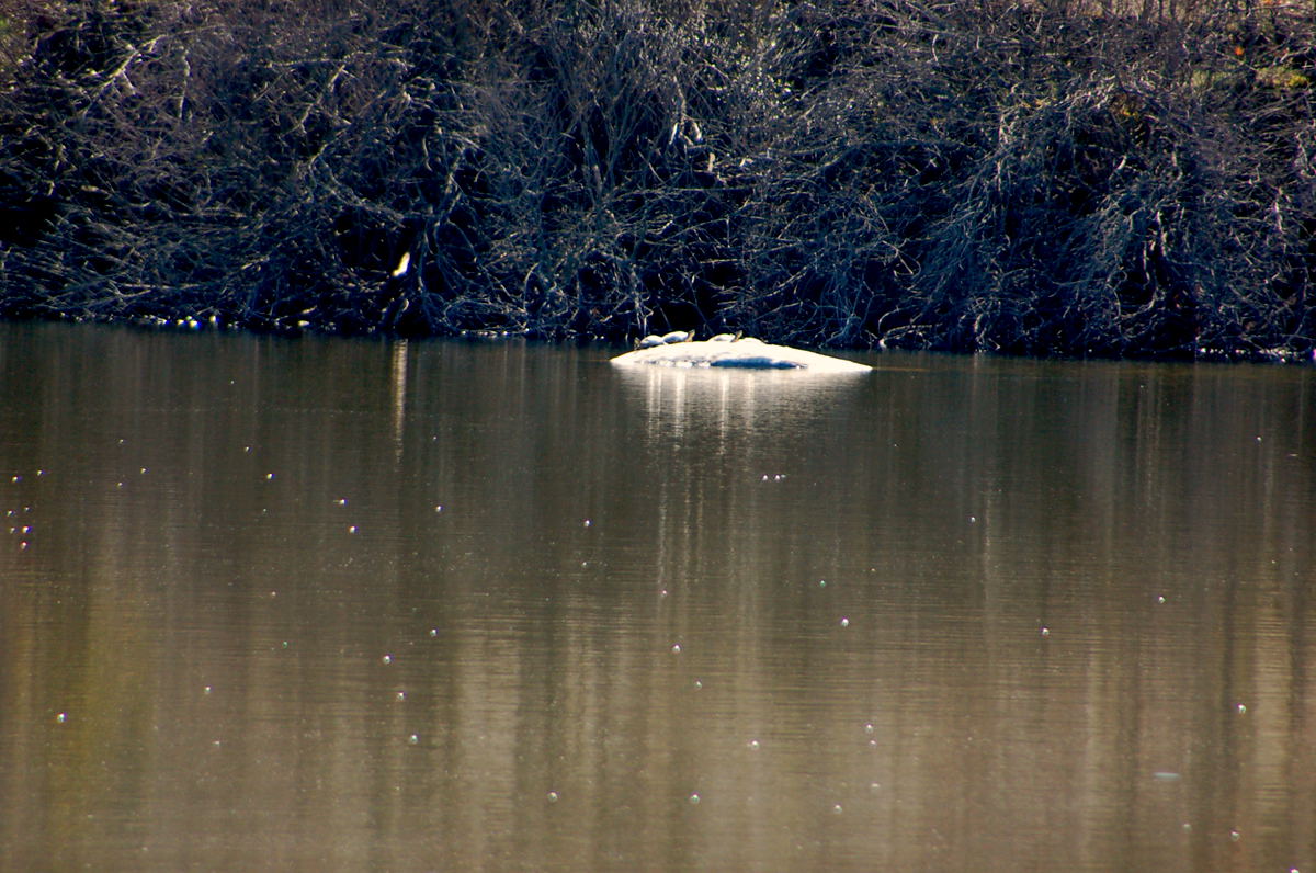 Foto de El Escorial (Madrid), España