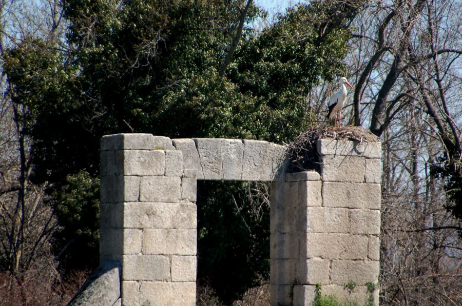 Foto de El Escorial (Madrid), España
