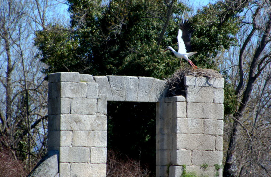 Foto de El Escorial (Madrid), España