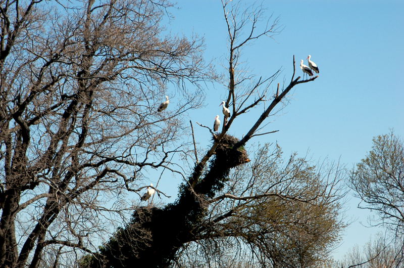 Foto de El Escorial (Madrid), España