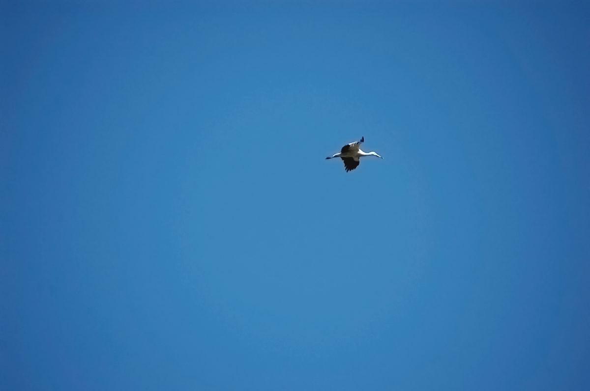 Foto de El Escorial (Madrid), España