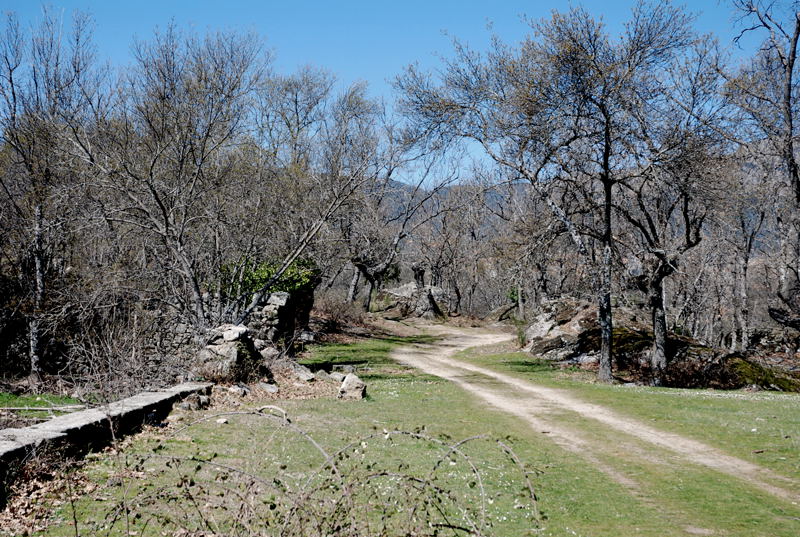 Foto de El Escorial (Madrid), España