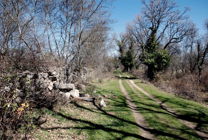 Foto de El Escorial (Madrid), España