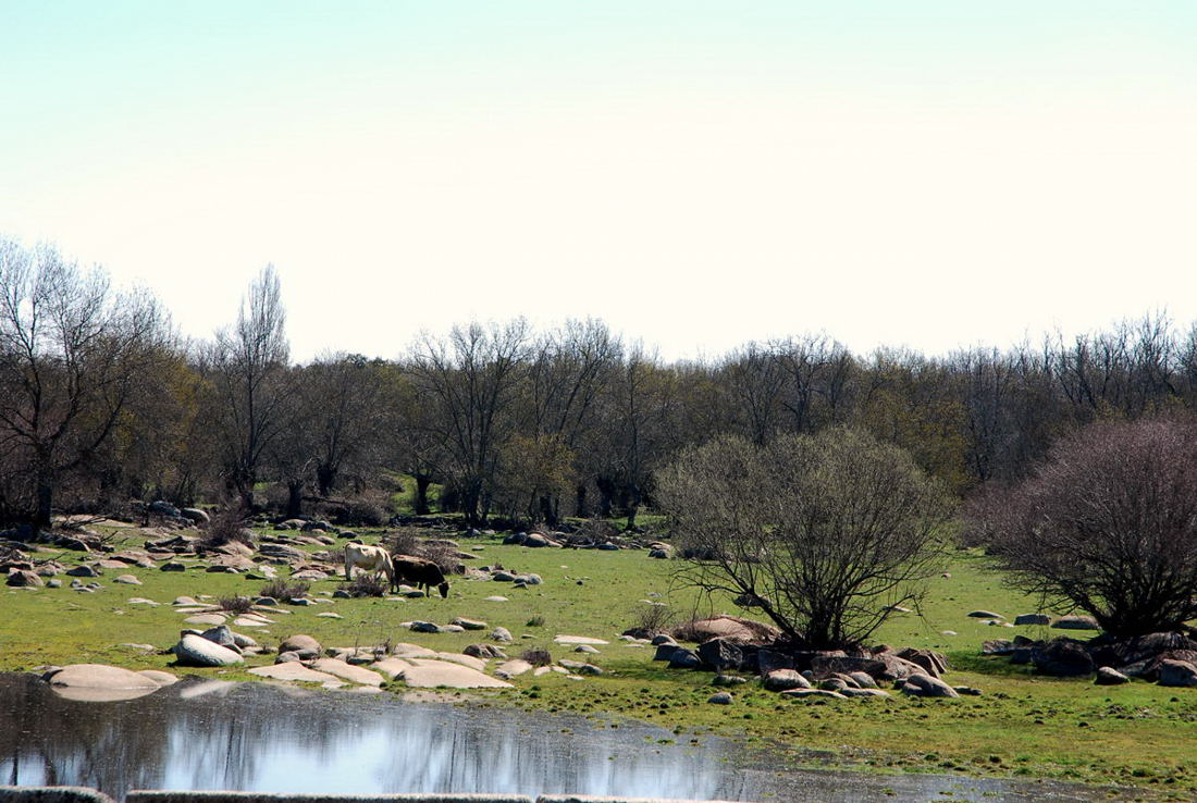 Foto de El Escorial (Madrid), España