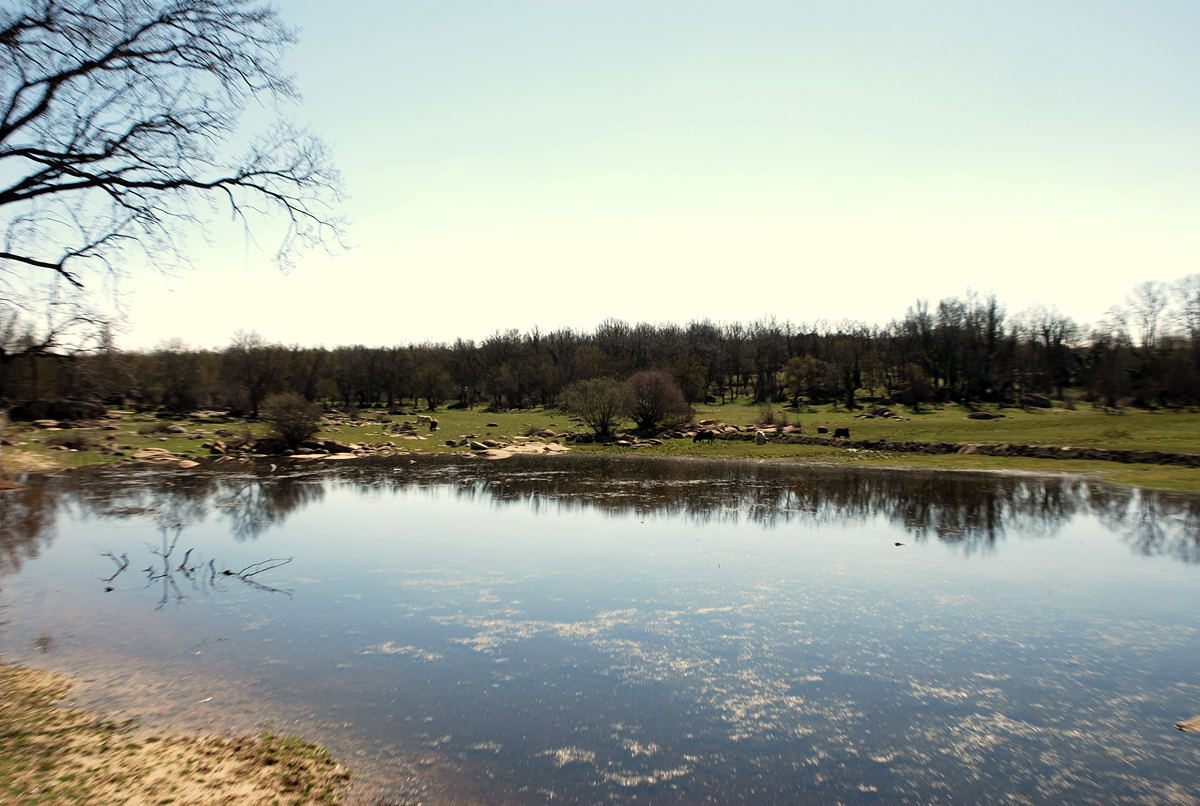 Foto de El Escorial (Madrid), España