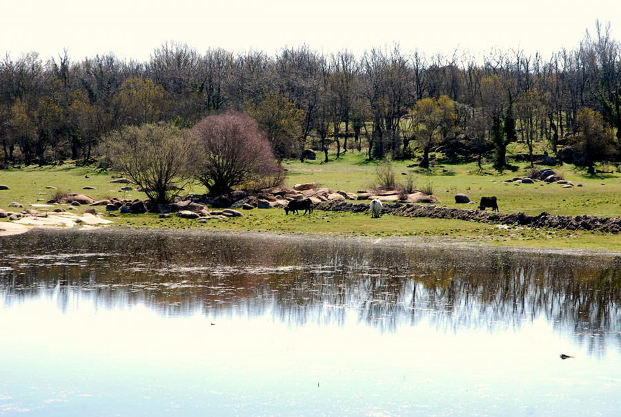 Foto de El Escorial (Madrid), España
