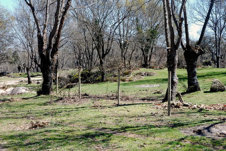 Foto de El Escorial (Madrid), España