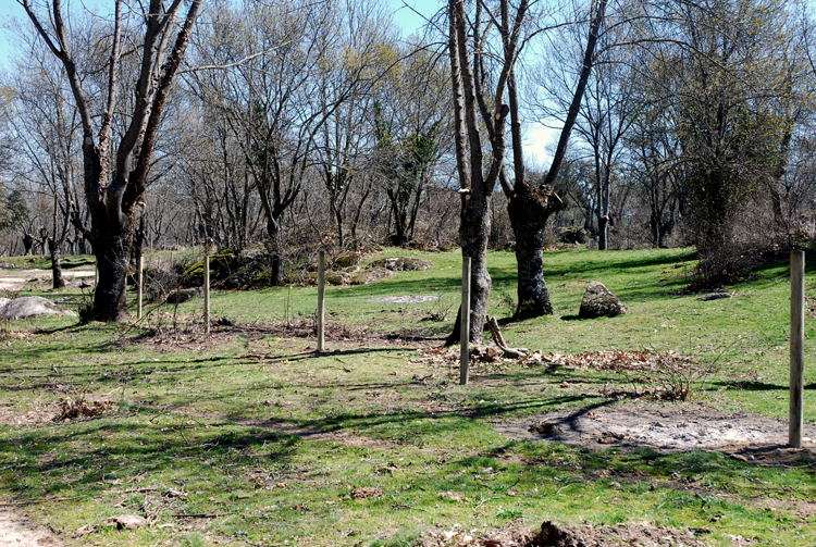 Foto de El Escorial (Madrid), España