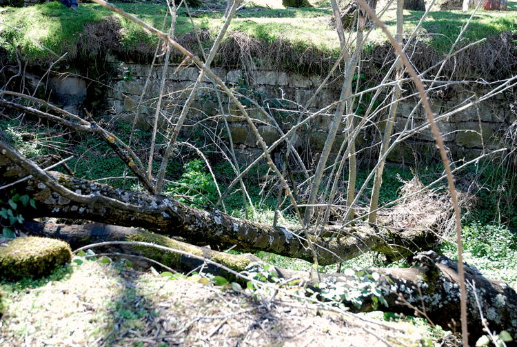 Foto de El Escorial (Madrid), España