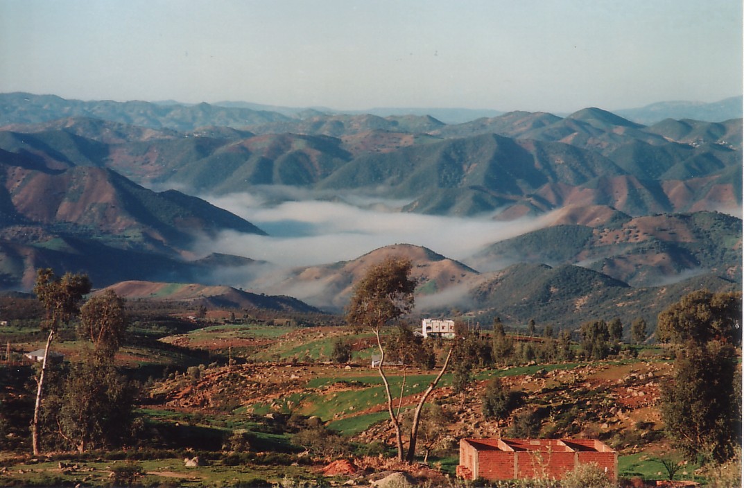 Foto de Chef Xaouen, Marruecos