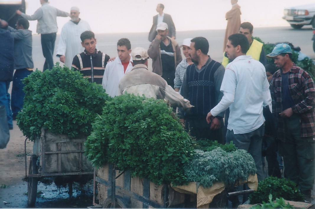 Foto de Ksar El Kebir, Marruecos