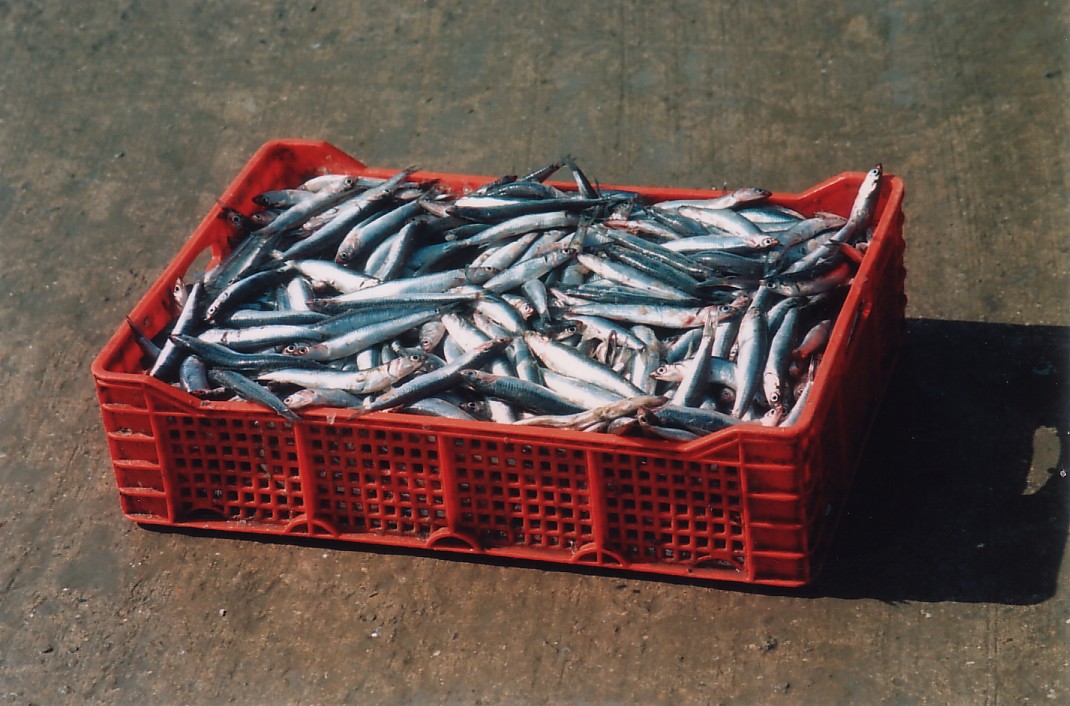 Foto de Larache, Marruecos