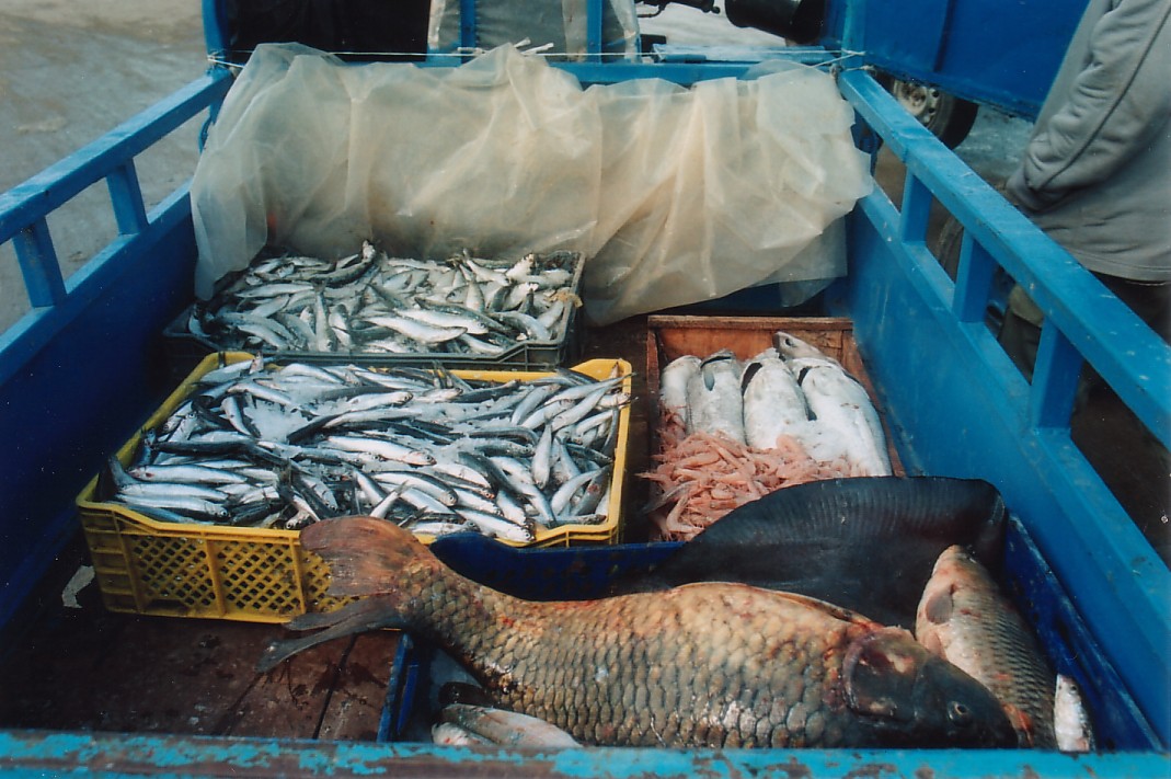 Foto de Larache, Marruecos