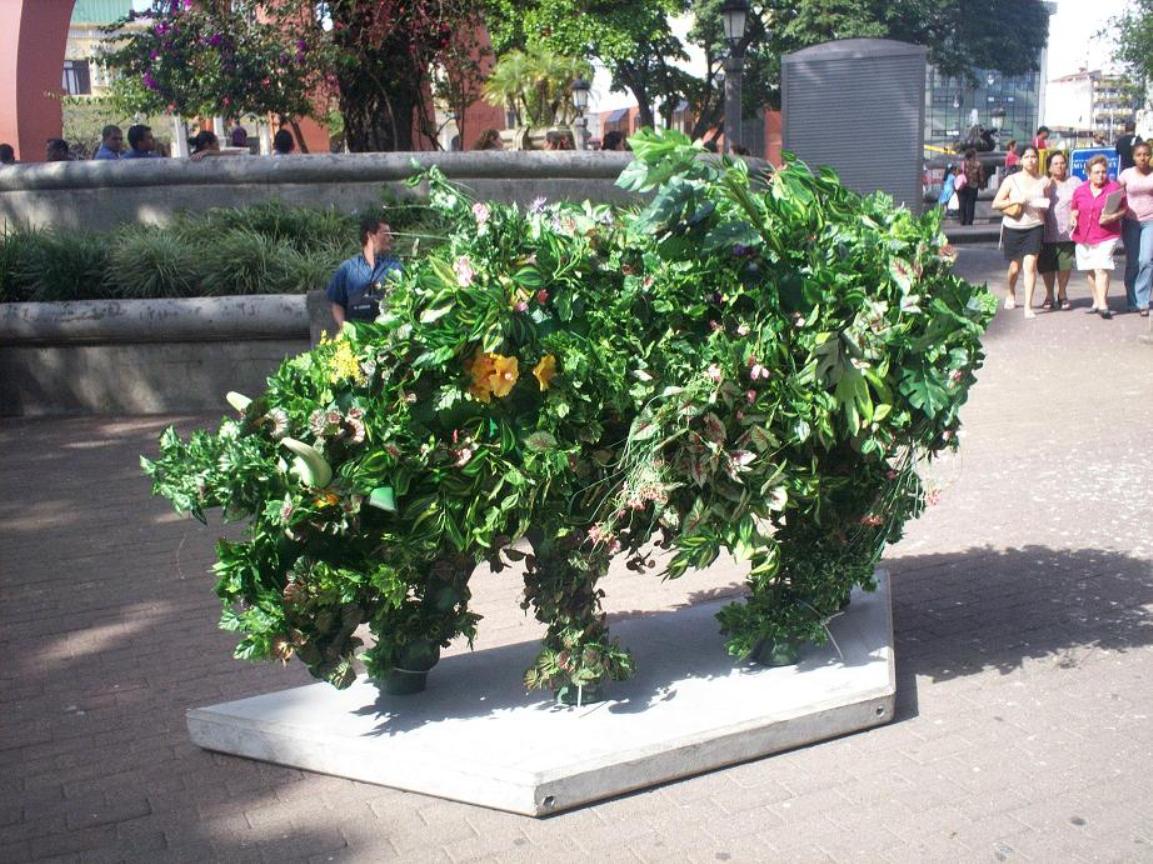 Foto de San José, Costa Rica