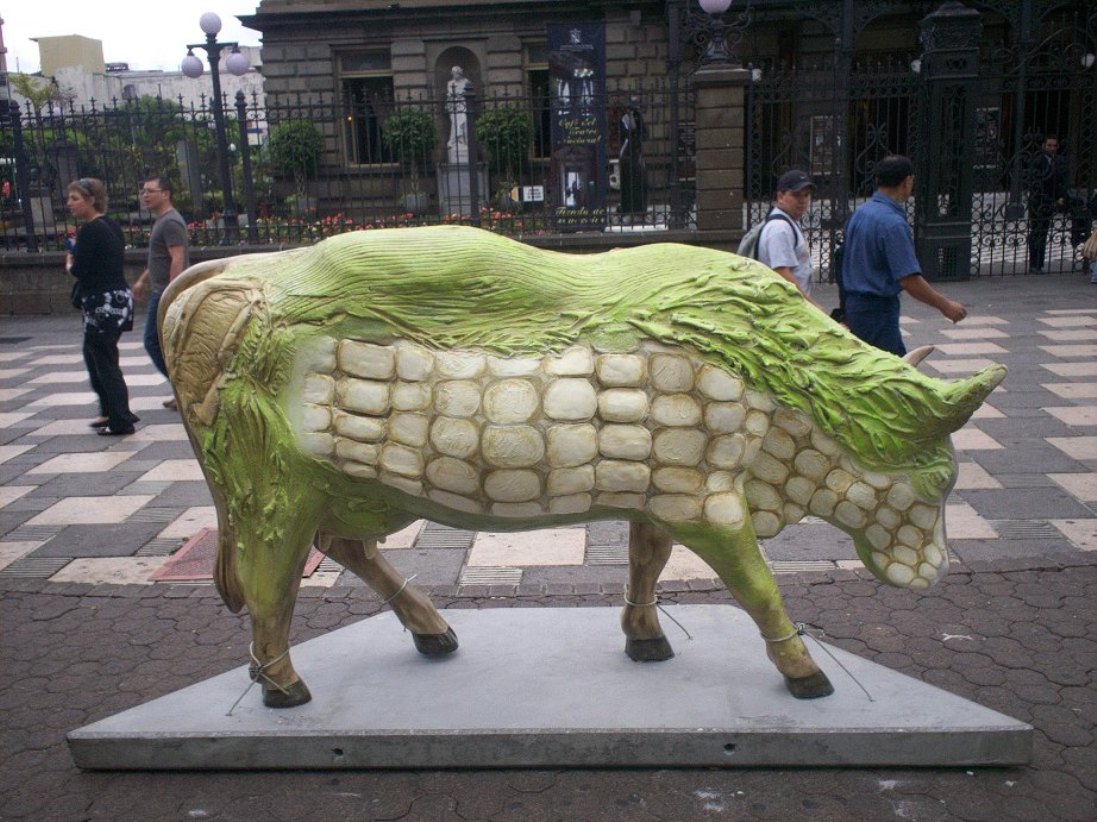 Foto de San José, Costa Rica