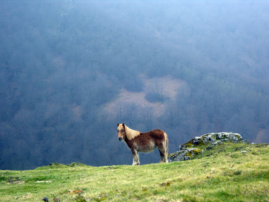 Foto de Oiartzun (Gipuzkoa), España