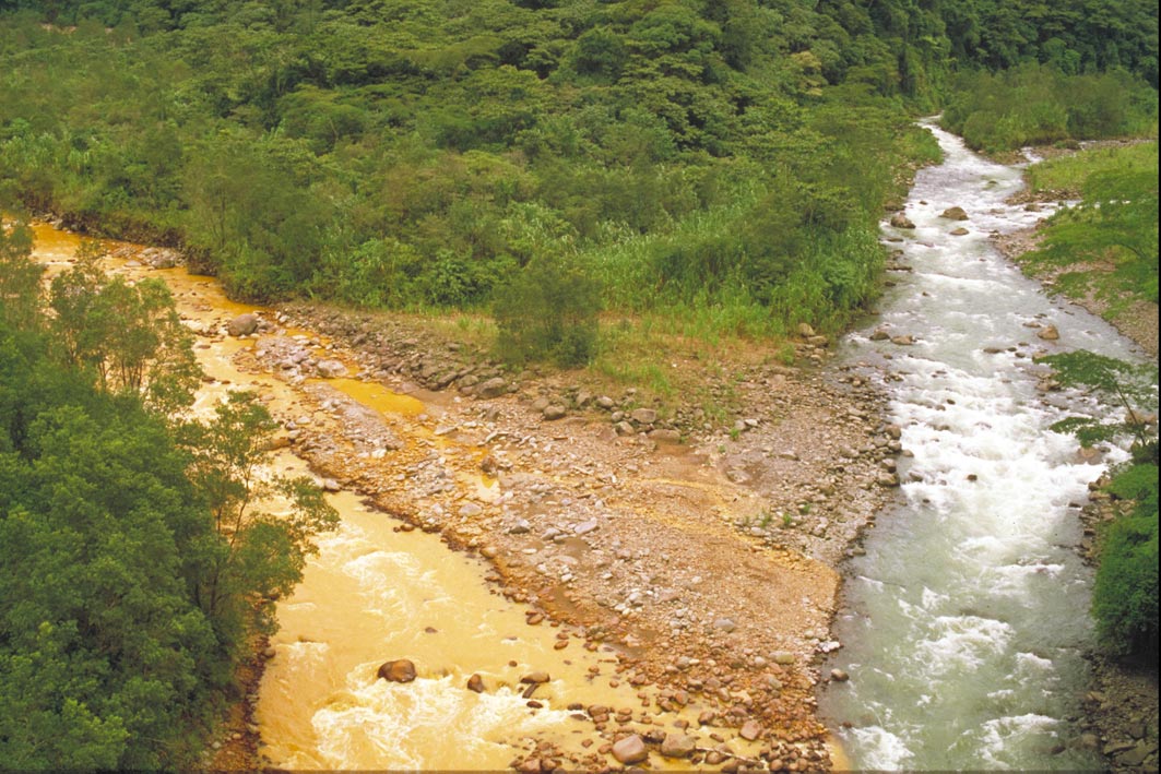 Foto de Parque Nacional Braulio Carrillo, Costa Rica