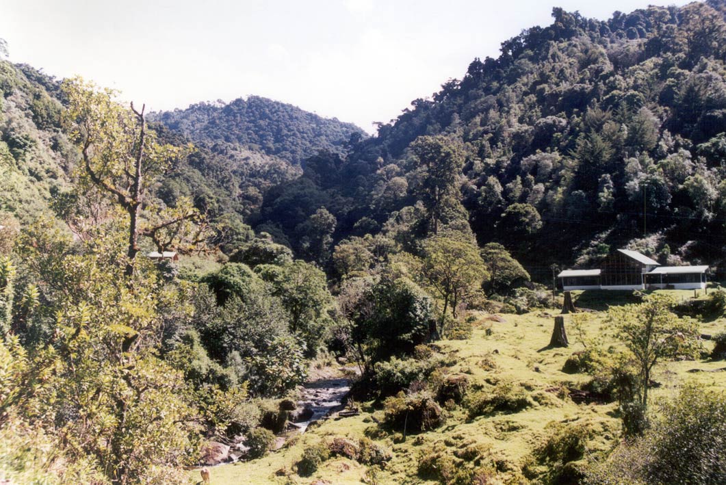 Foto de San Gerardo de Dota, Costa Rica