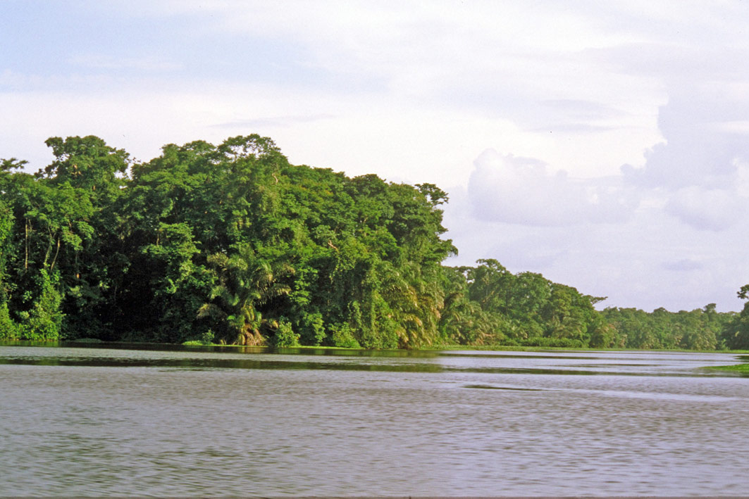 Foto de Parque Nacional Tortuguero, Costa Rica