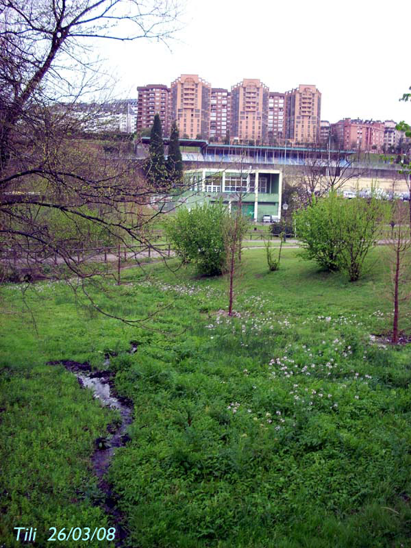 Foto de Oviedo (Asturias), España