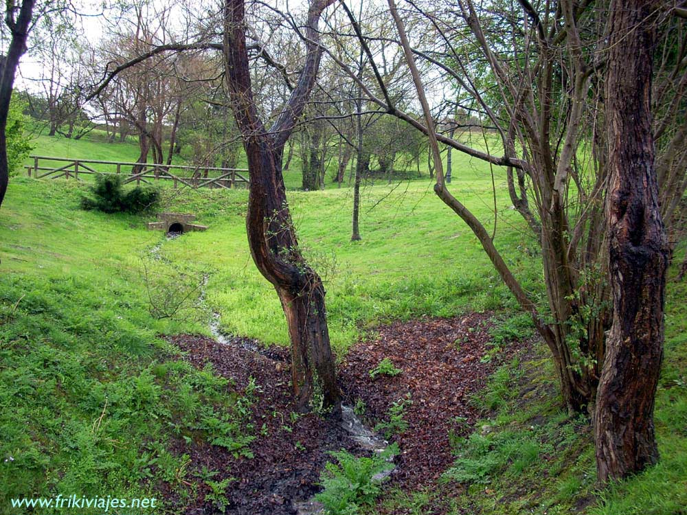 Foto de Oviedo (Asturias), España