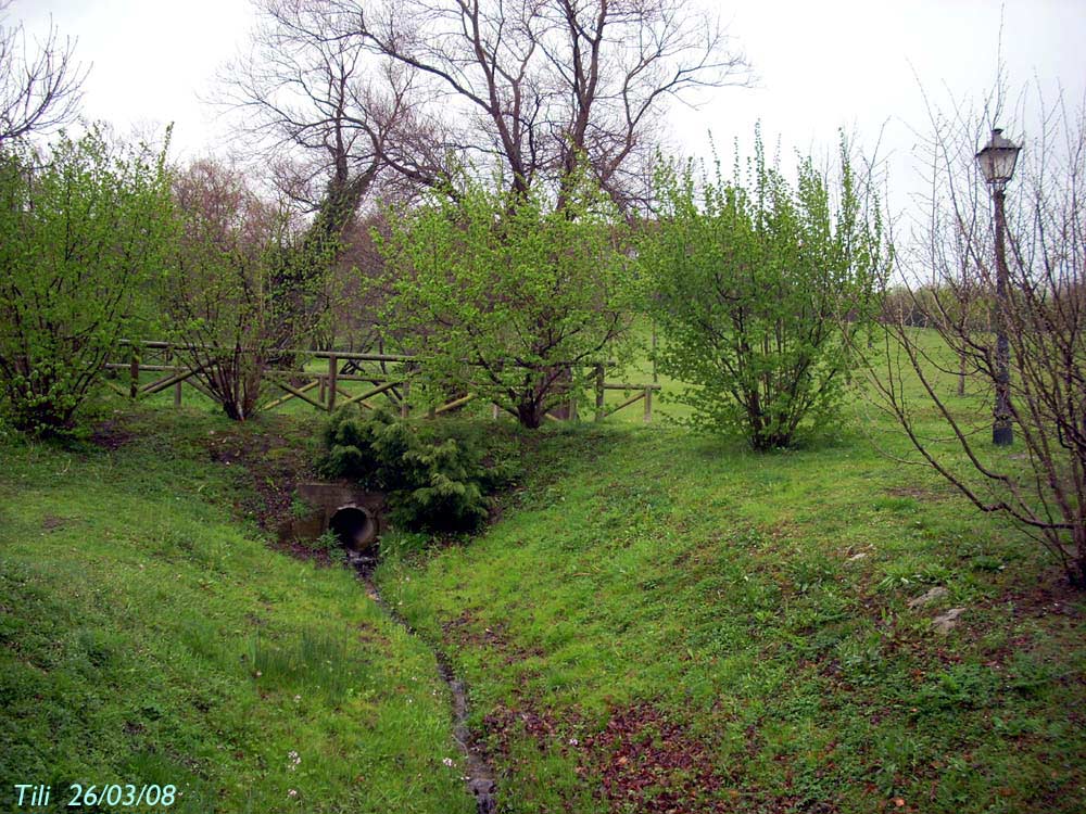 Foto de Oviedo (Asturias), España