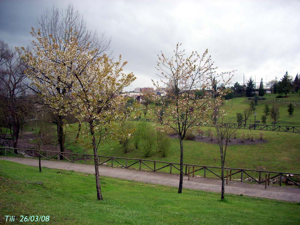 Foto de Oviedo (Asturias), España