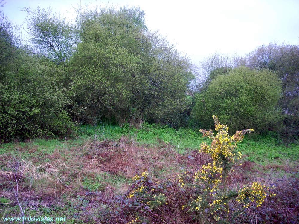 Foto de Oviedo (Asturias), España