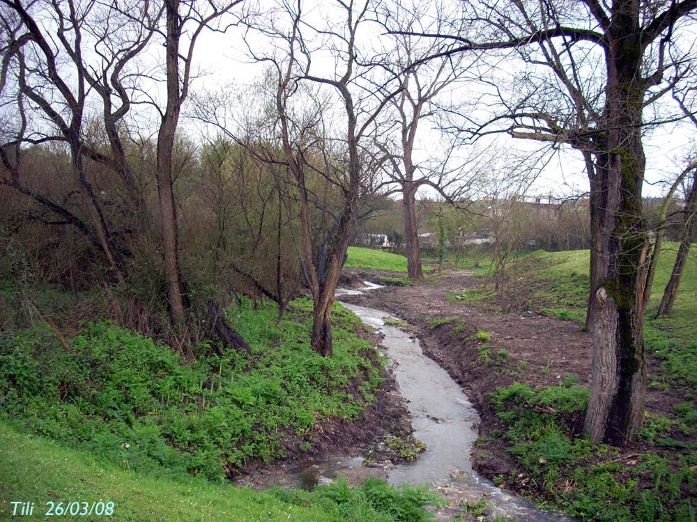 Foto de Oviedo (Asturias), España