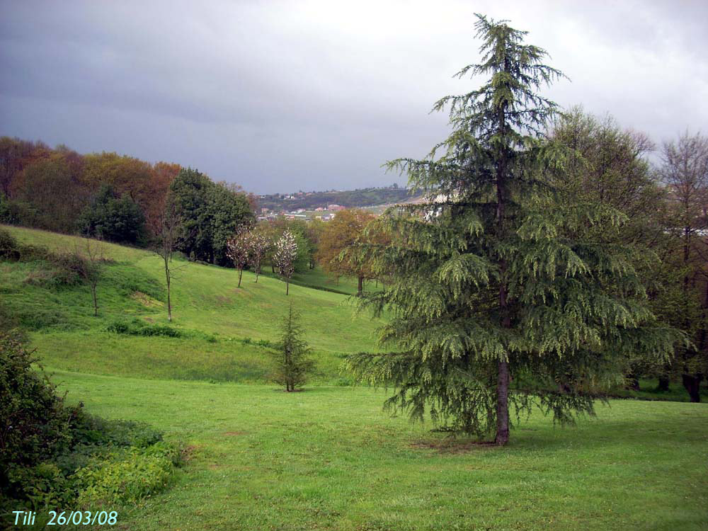 Foto de Oviedo (Asturias), España