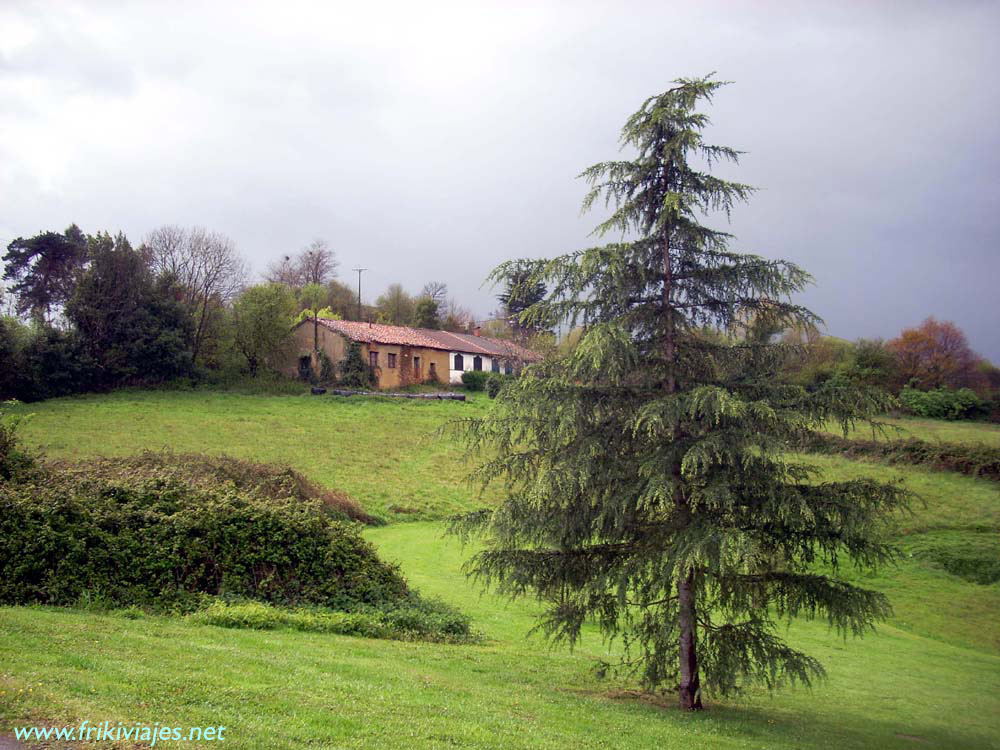 Foto de Oviedo (Asturias), España
