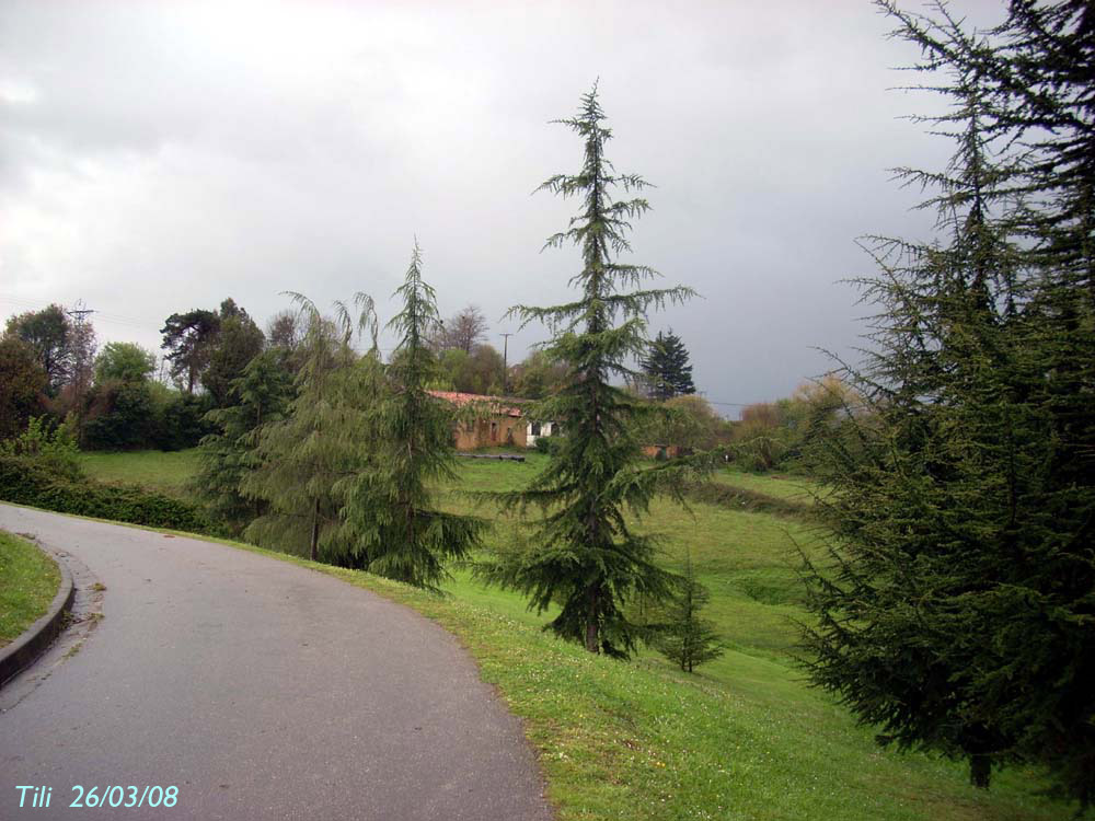 Foto de Oviedo (Asturias), España
