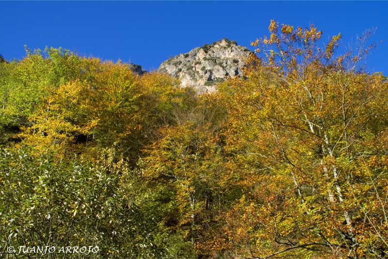 Foto de Somiedo (Asturias), España
