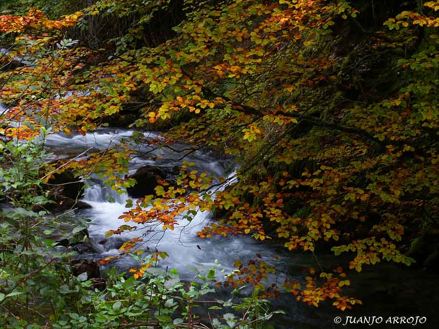 Foto de Somiedo (Asturias), España