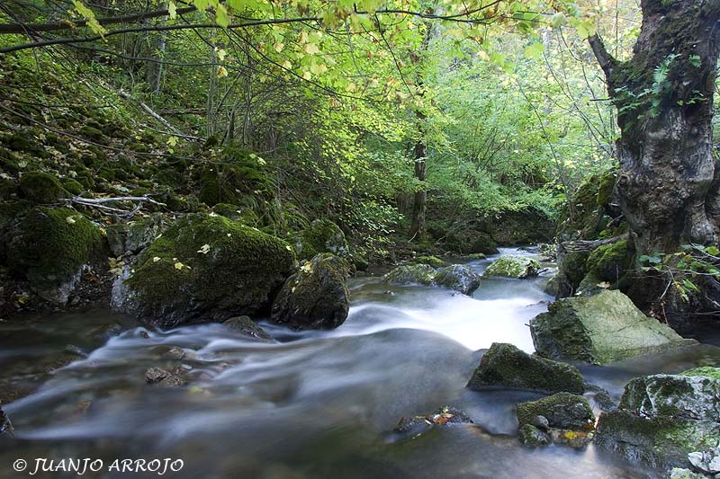 Foto de Somiedo (Asturias), España