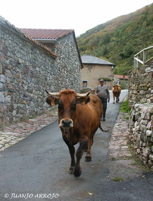Foto de Somiedo (Asturias), España