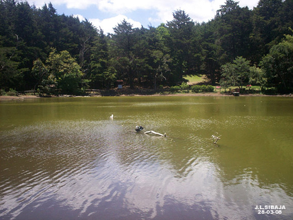 Foto: LAGUNA DE FRAIJANES (Fraijanes De San Isidro De Alajuela) - Fraijanes (Alajuela), Costa Rica