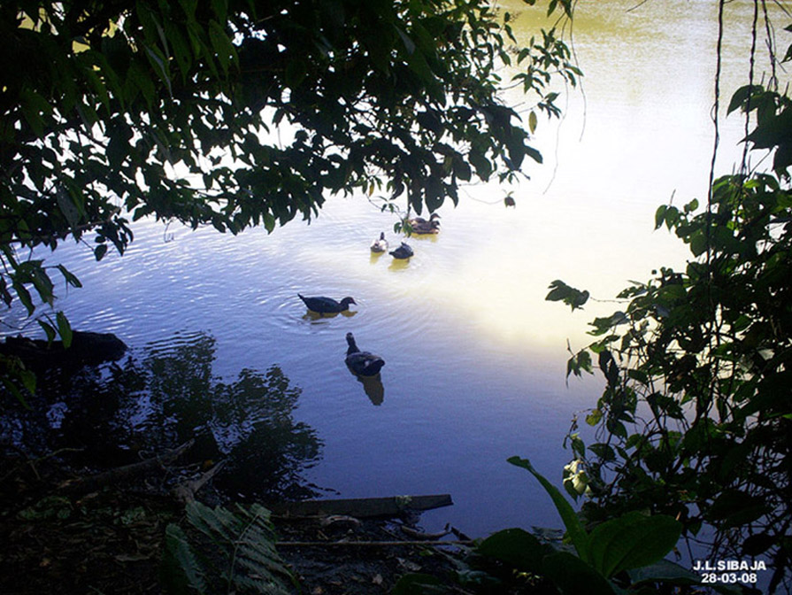 Foto: LAGUNA DE FRAIJANES (Fraijanes De San Isidro De Alajuela) - Fraijanes (Alajuela), Costa Rica